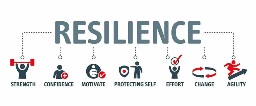 Definition of Resilience​